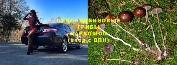 стаф Абдулино