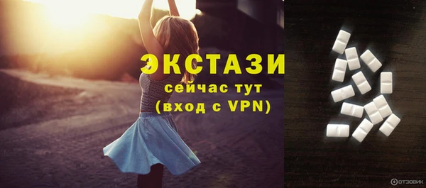 тгк Абаза