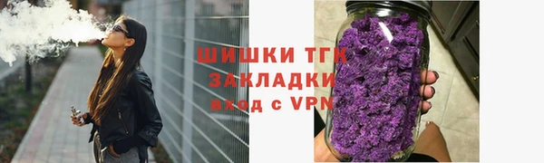 тгк Абаза
