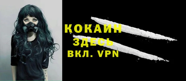 дживик Абинск