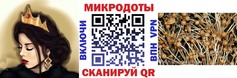 Галлюциногенные грибы мицелий  Староминская 
